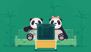 World's Largest Porn Site Launches Gimmick With "Make Porn, Save Pandas