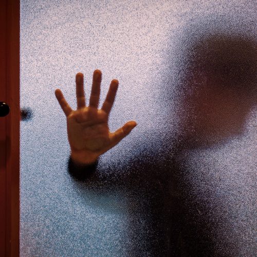 heidi-olson-sane-child-on-child-sexual-assault-and-porn