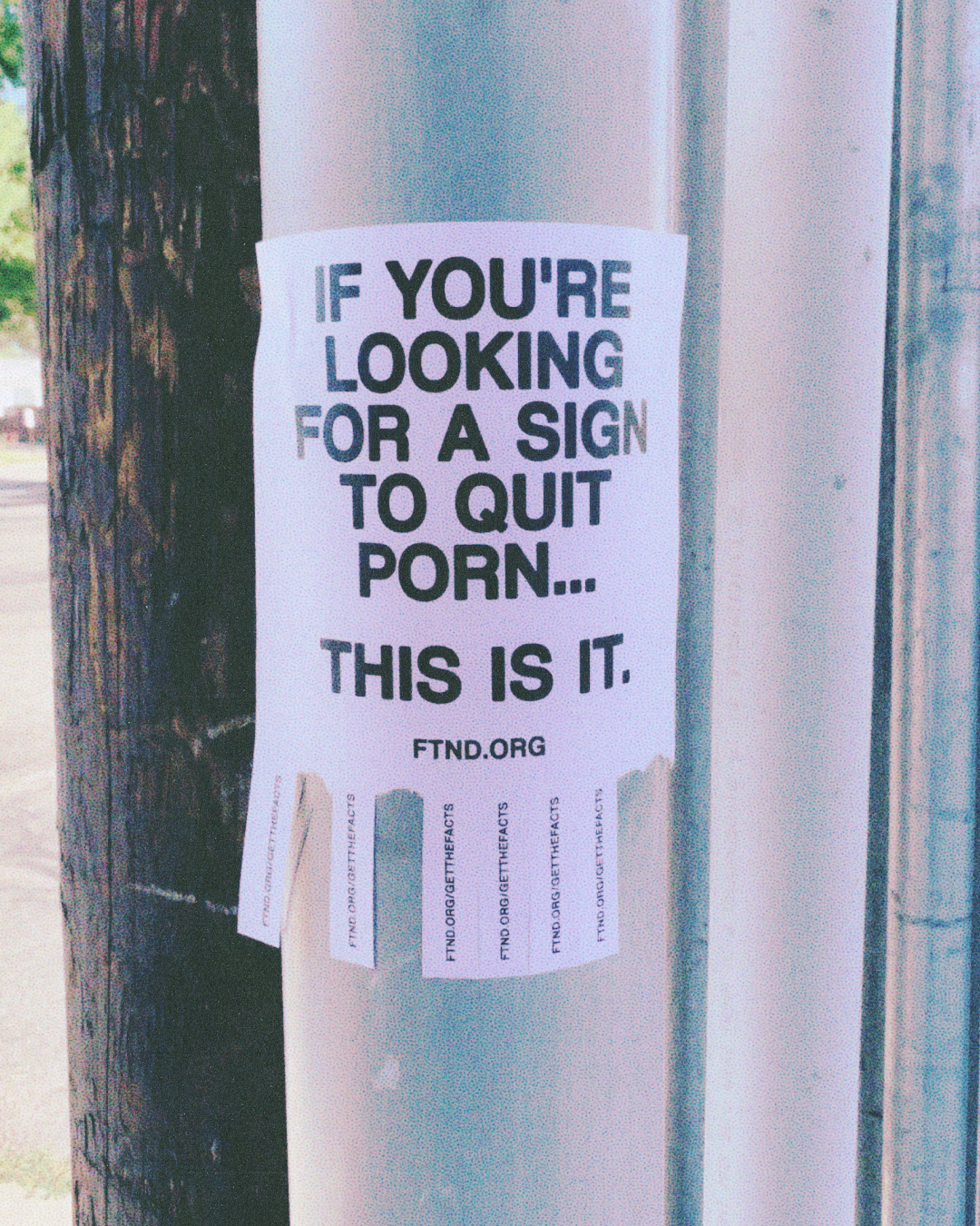 FTND_DEC-2023_LookingForSign_